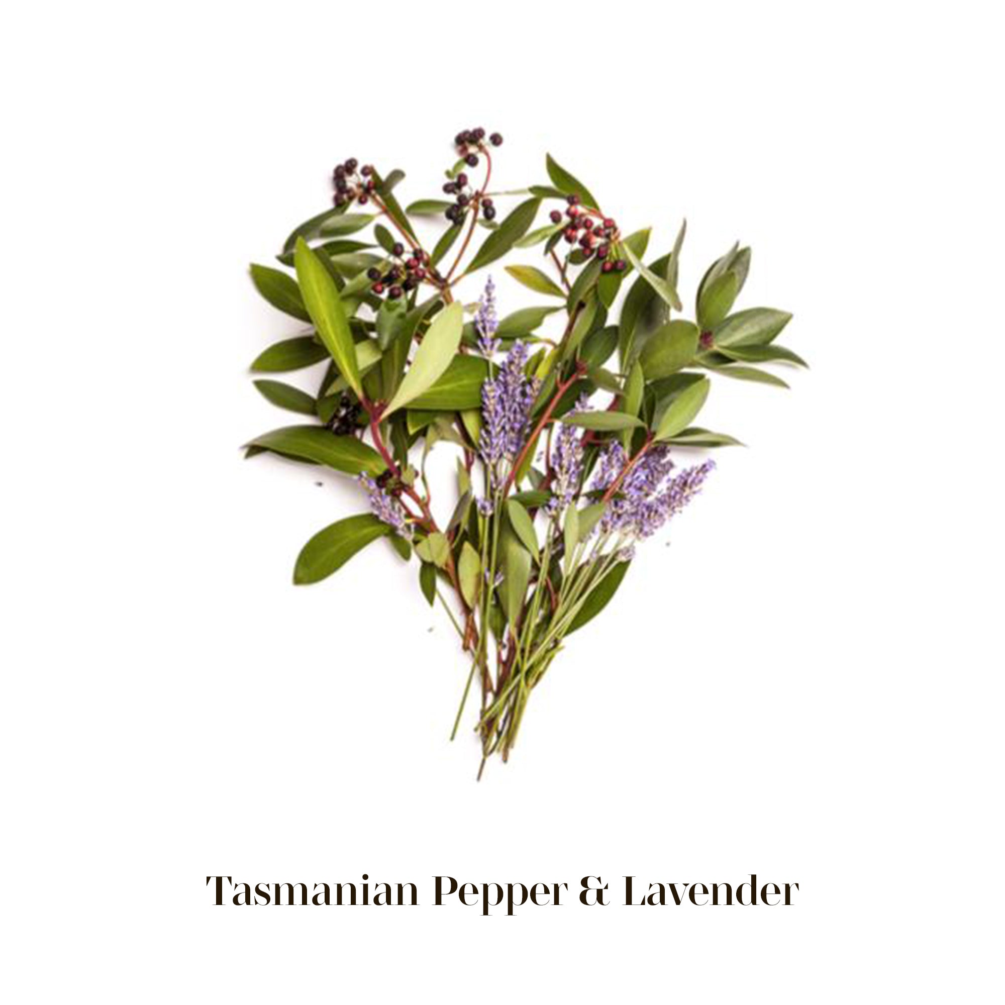 Mist Spray Tasmanian Pepper & Lavender 塔斯曼尼亞胡椒及薰衣草天然精油消毒噴霧 50ml / 150ml
